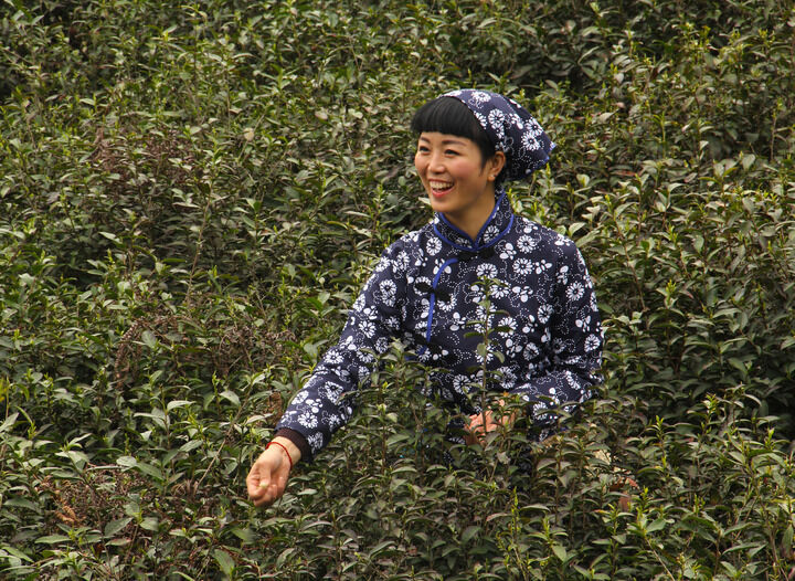 百丽直播 热门2